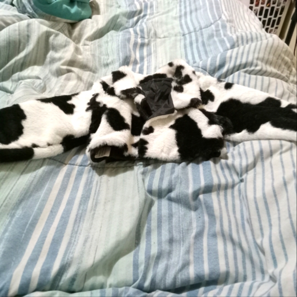Brand New crop cow print jacket